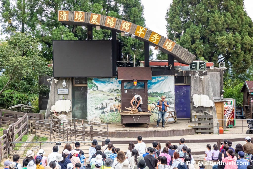 清境農場．南投仁愛景點（山景秀麗以及必看的綿羊秀和馬術秀）