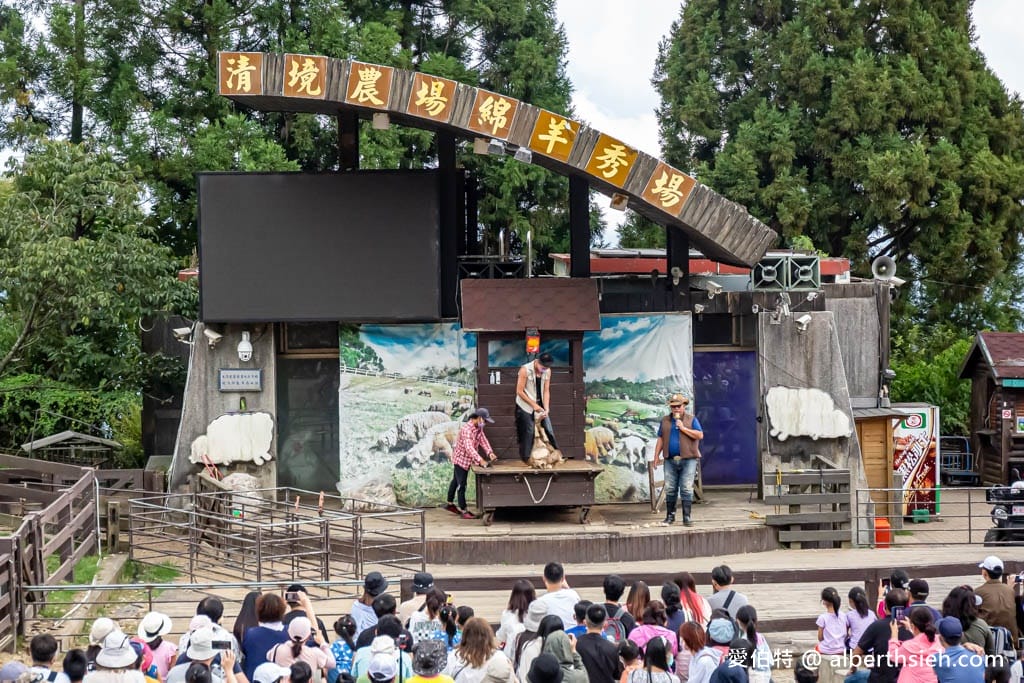 清境農場．南投仁愛景點（山景秀麗以及必看的綿羊秀和馬術秀）