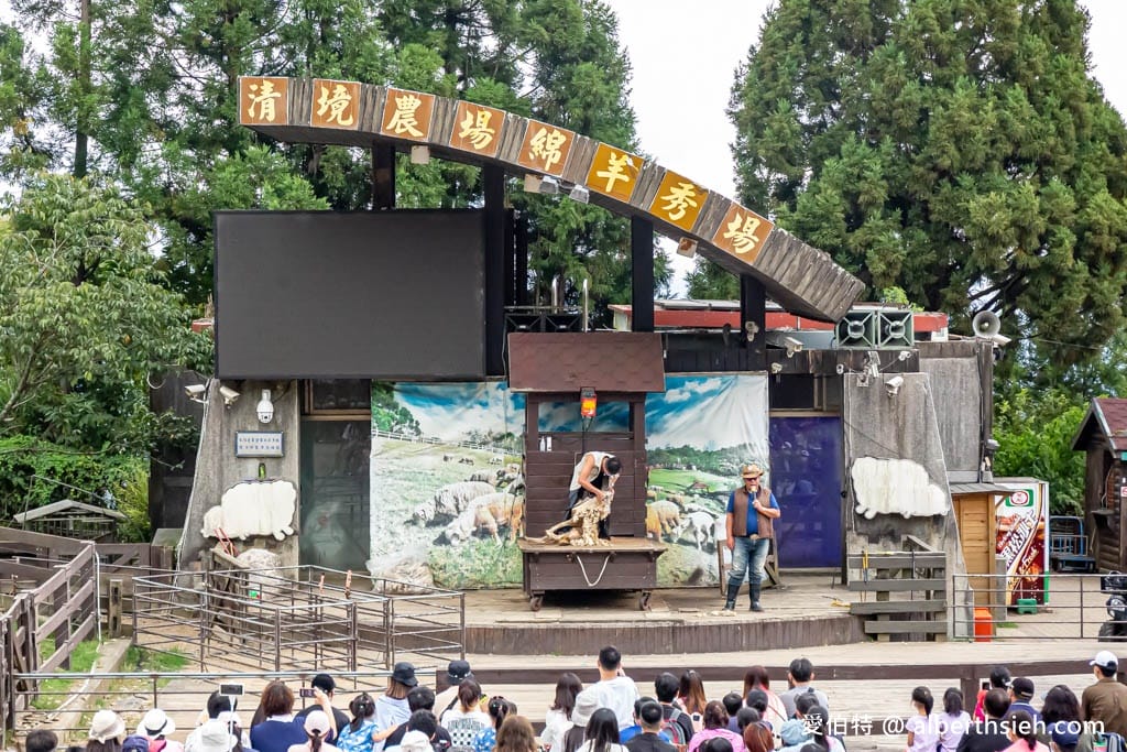 清境農場．南投仁愛景點（山景秀麗以及必看的綿羊秀和馬術秀）