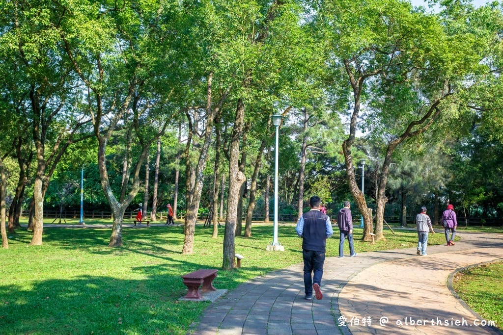 桃園中壢景點．龍岡森林公園（兒童遊樂區、大草原、樹木、乾淨的空氣，適合全家出遊的好去處）