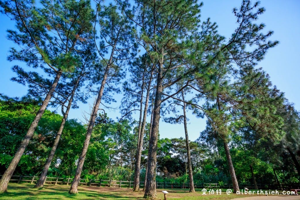 桃園中壢景點．龍岡森林公園（兒童遊樂區、大草原、樹木、乾淨的空氣，適合全家出遊的好去處）