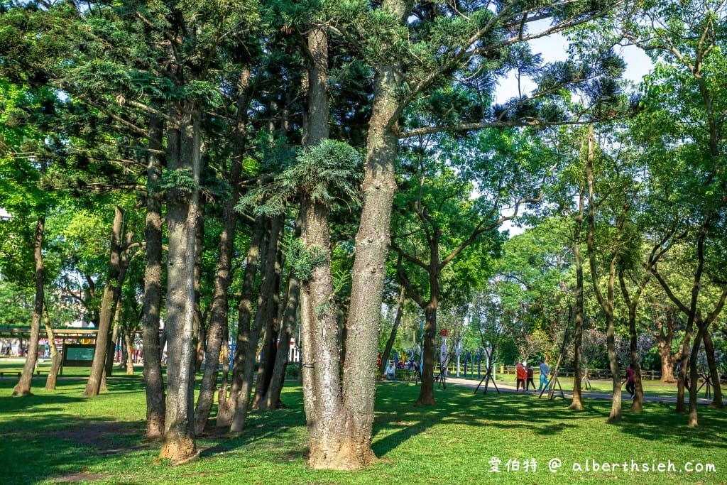 桃園中壢景點．龍岡森林公園（兒童遊樂區、大草原、樹木、乾淨的空氣，適合全家出遊的好去處）