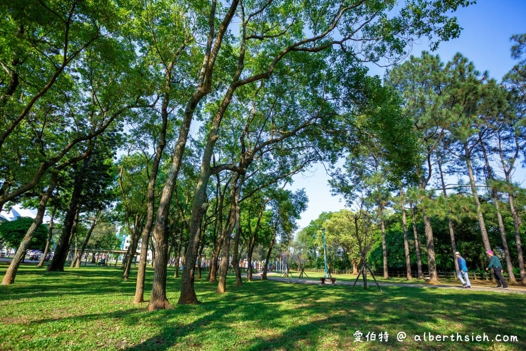 桃園中壢景點．龍岡森林公園（兒童遊樂區、大草原、樹木、乾淨的空氣，適合全家出遊的好去處）