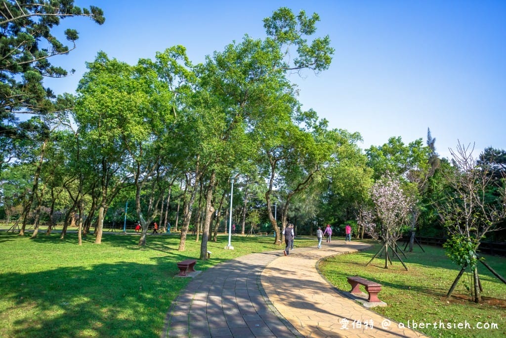 桃園中壢景點．龍岡森林公園（兒童遊樂區、大草原、樹木、乾淨的空氣，適合全家出遊的好去處）