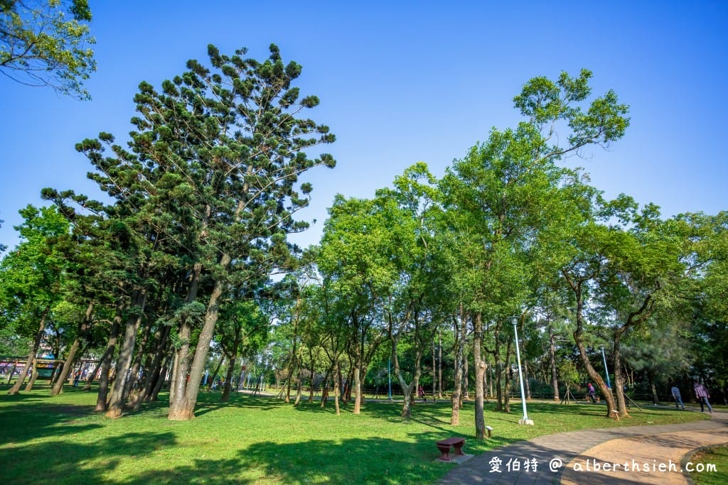 桃園中壢景點．龍岡森林公園（兒童遊樂區、大草原、樹木、乾淨的空氣，適合全家出遊的好去處）