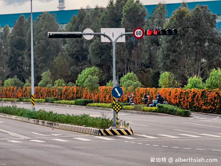 后科路炮仗花海．台中后里免費景點（綿延數百公尺的炮仗花牆盛開中，絕美橘色花牆等你來拍IG美照） @愛伯特