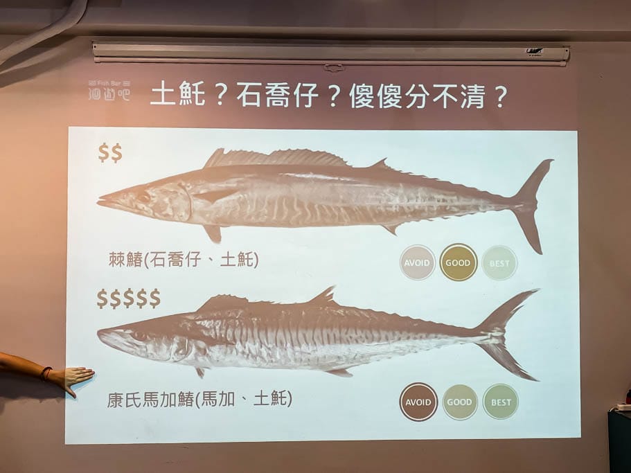 洄遊吧食魚體驗館．花蓮七星潭景點（淺顯易懂教你海洋食魚的知識）