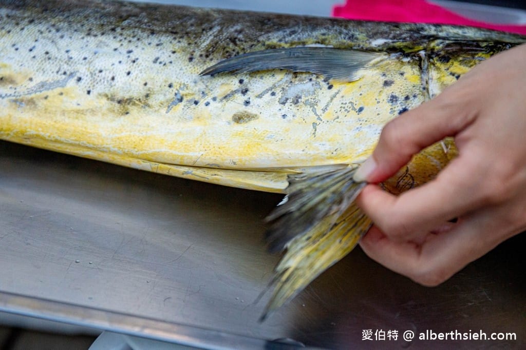 洄遊吧食魚體驗館．花蓮七星潭景點（淺顯易懂教你海洋食魚的知識）