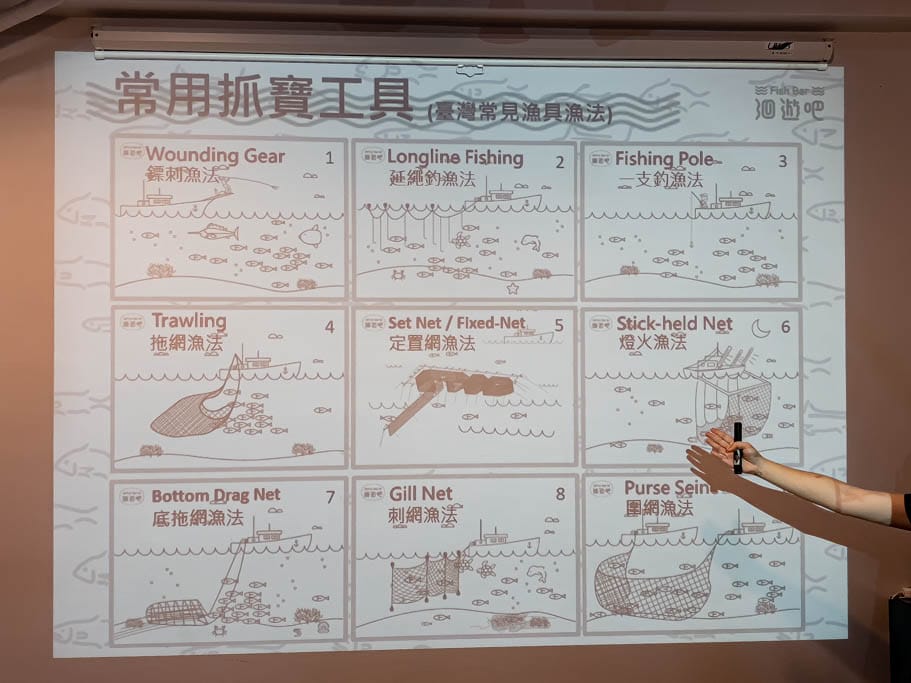 洄遊吧食魚體驗館．花蓮七星潭景點（淺顯易懂教你海洋食魚的知識）
