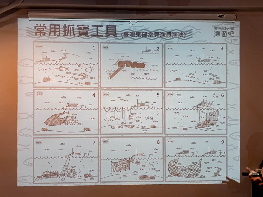 洄遊吧食魚體驗館．花蓮七星潭景點（淺顯易懂教你海洋食魚的知識）