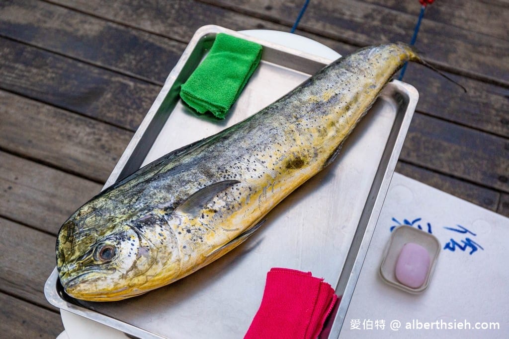 洄遊吧食魚體驗館．花蓮七星潭景點（淺顯易懂教你海洋食魚的知識）