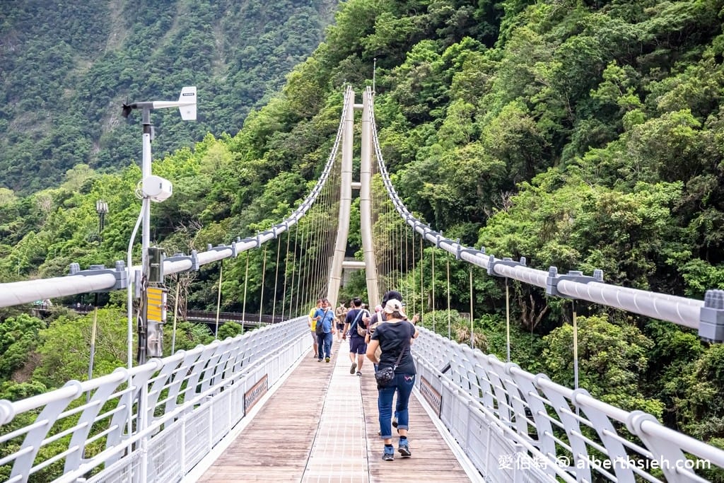 太魯閣布洛灣吊橋(山月吊橋).花蓮秀林景點(現場排隊免預約,跨越立霧溪,離溪谷落差最大,深跨比最高的峽谷吊橋) - 第16張圖 太魯閣布洛灣吊橋(山月吊橋).花蓮秀林景點(現場排隊免預約,跨越立霧溪,離溪谷落差最大,深跨比最高的峽谷吊橋)