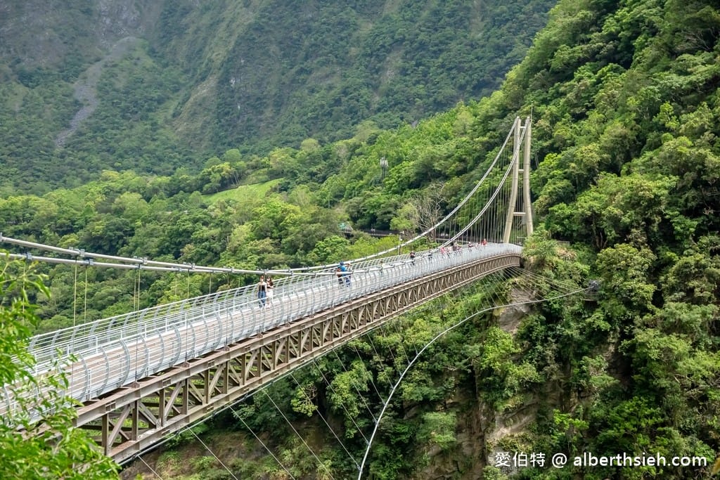 太魯閣布洛灣吊橋(山月吊橋).花蓮秀林景點(現場排隊免預約,跨越立霧溪,離溪谷落差最大,深跨比最高的峽谷吊橋) - 第22張圖 太魯閣布洛灣吊橋(山月吊橋).花蓮秀林景點(現場排隊免預約,跨越立霧溪,離溪谷落差最大,深跨比最高的峽谷吊橋)