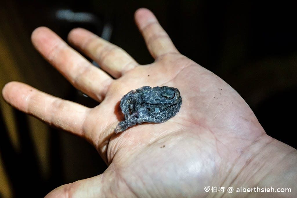 洗衣機真的有那麼髒？只靠洗衣機清洗劑絕對不夠！開箱五年沒洗的洗衣機 FT.小川職人洗衣機清洗