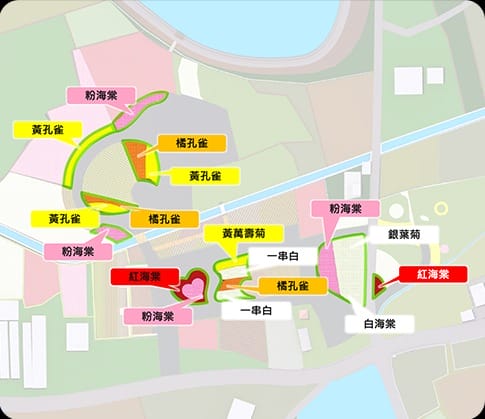 2023桃園彩色海芋季（交通管制接駁車資訊，8萬株彩色海芋、2萬株百合及18萬株草花等你來欣賞）