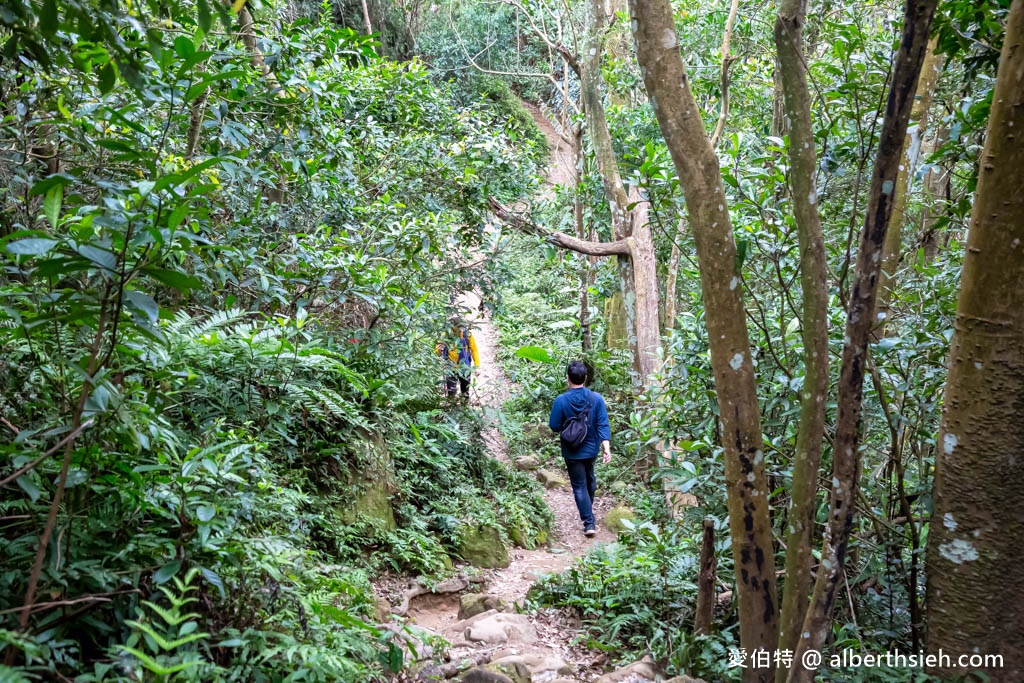 龍潭石門山步道．桃園小百岳（登小竹坑山賞美景，景春步道，觀音步道，環湖步道隨你選！） @愛伯特