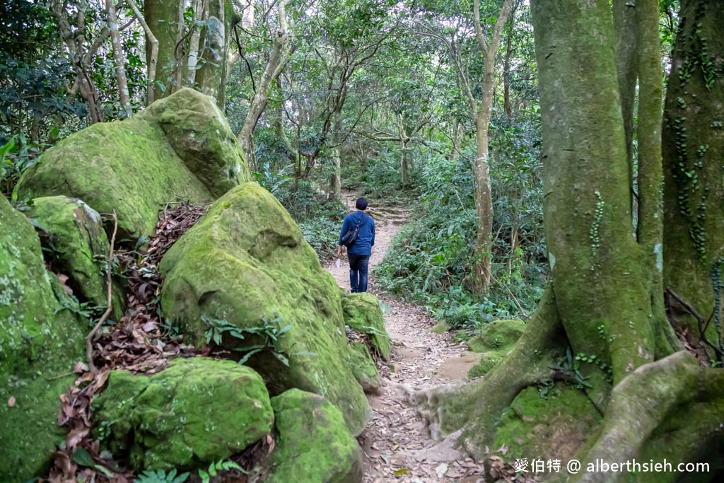 龍潭石門山步道．桃園小百岳（登小竹坑山賞美景，景春步道，觀音步道，環湖步道隨你選！） @愛伯特