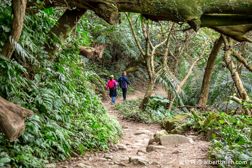 龍潭石門山步道．桃園小百岳（登小竹坑山賞美景，景春步道，觀音步道，環湖步道隨你選！） @愛伯特