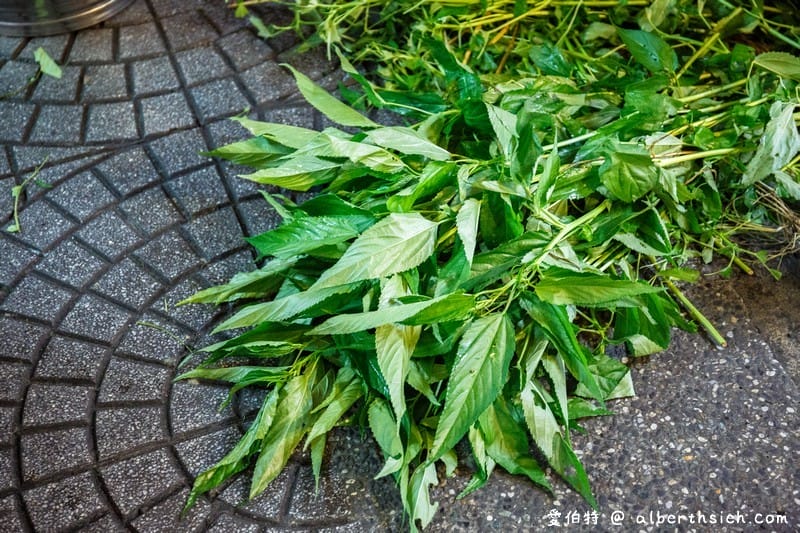 麻芛．台中特色美食（中部人才知的台中抹茶消暑退火又顧胃）
