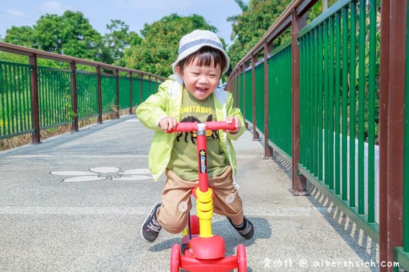 永豐六分桐花步道．台中外埔景點（桐花祕境還可以近距離欣賞高鐵呼嘯而過）