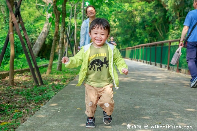 永豐六分桐花步道．台中外埔景點（桐花祕境還可以近距離欣賞高鐵呼嘯而過）