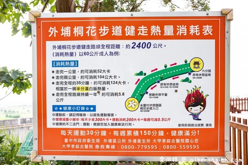 永豐六分桐花步道．台中外埔景點（桐花祕境還可以近距離欣賞高鐵呼嘯而過）