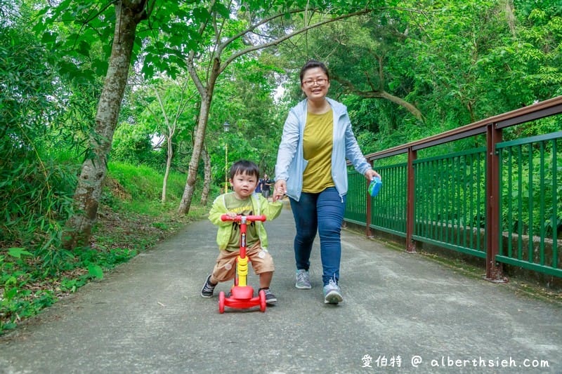 永豐六分桐花步道．台中外埔景點（桐花祕境還可以近距離欣賞高鐵呼嘯而過）