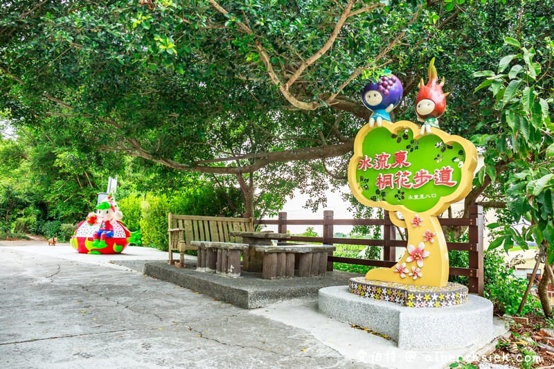 永豐六分桐花步道．台中外埔景點（桐花祕境還可以近距離欣賞高鐵呼嘯而過）
