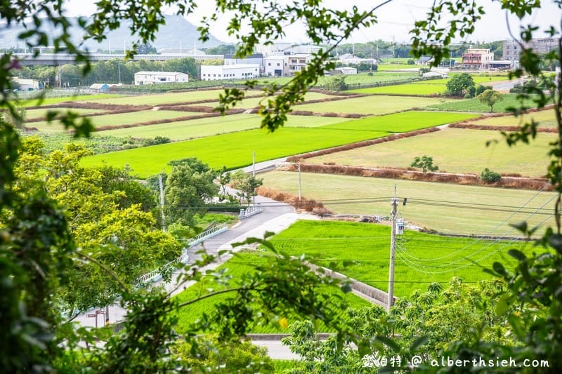 永豐六分桐花步道．台中外埔景點（桐花祕境還可以近距離欣賞高鐵呼嘯而過）