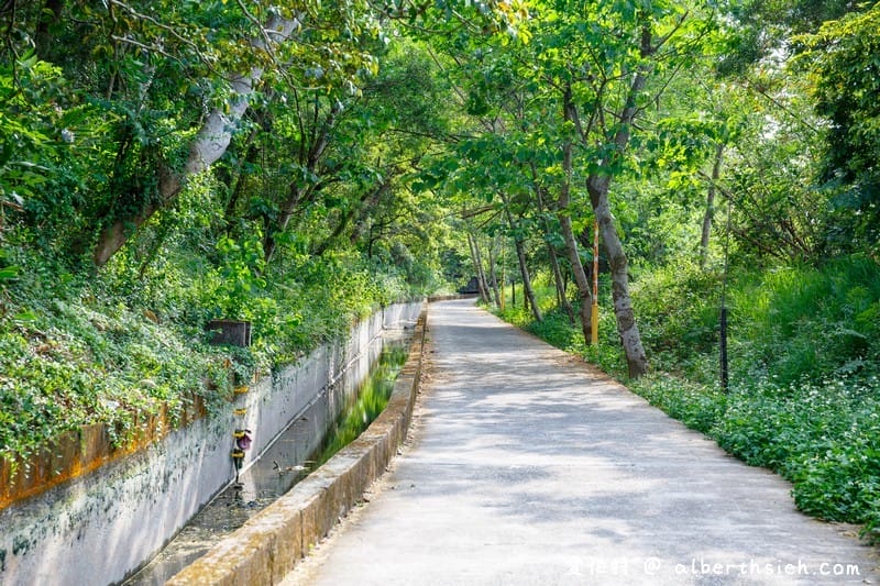 永豐六分桐花步道．台中外埔景點（桐花祕境還可以近距離欣賞高鐵呼嘯而過）
