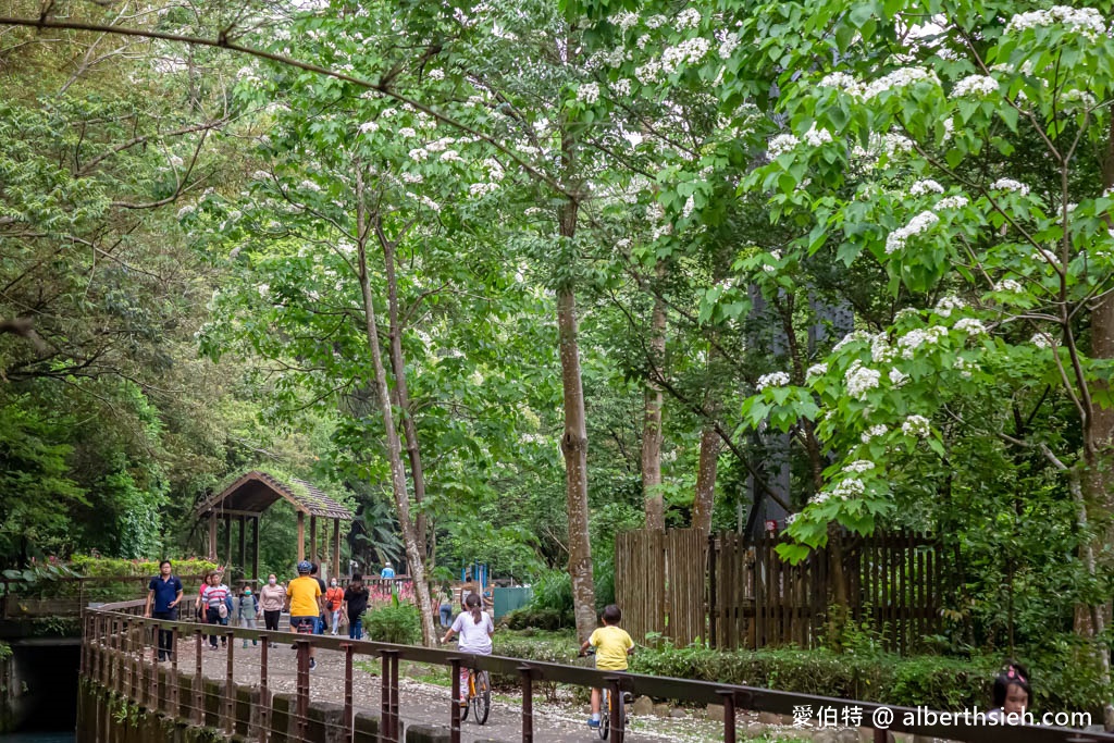 三坑鐵馬道．桃園龍潭景點（賞桐花運動兼逛老街，三坑自然生態公園大平紅橋千層瀑布都在附近） @愛伯特