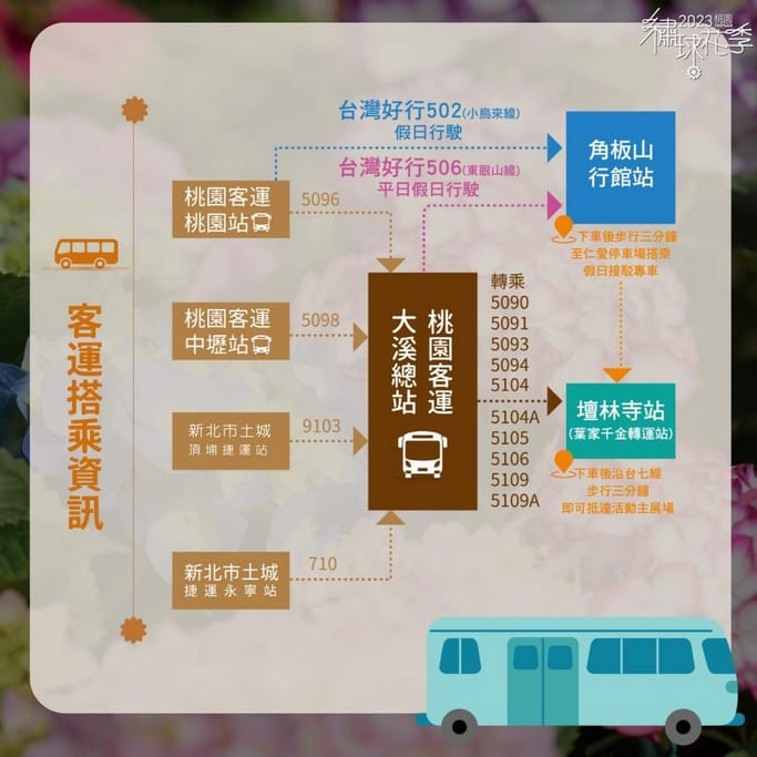 桃園繡球花季2023（日期，時間，地點，免費接駁車，夢幻的繡球花海萬株綻放山巒必看）