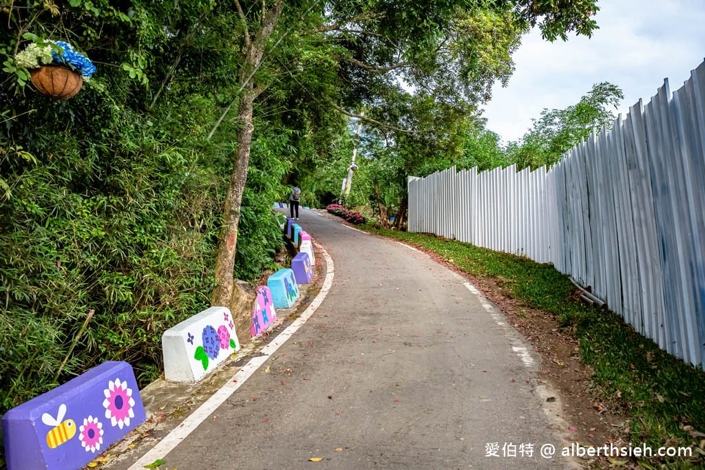 桃園繡球花季2023（日期，時間，地點，免費接駁車，夢幻的繡球花海萬株綻放山巒必看）
