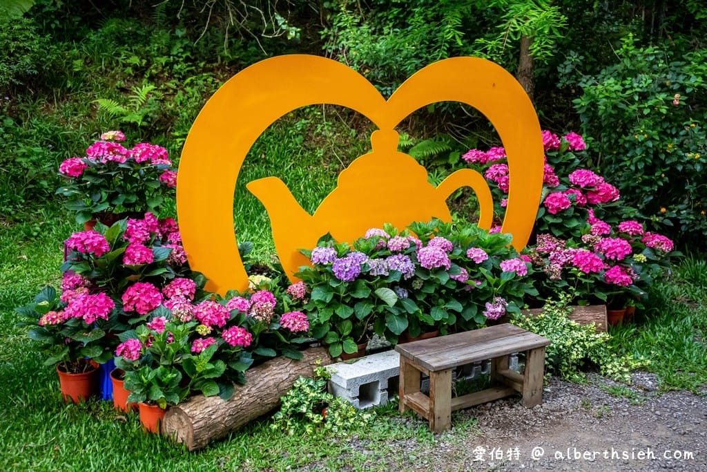 桃園繡球花季2023（日期，時間，地點，免費接駁車，夢幻的繡球花海萬株綻放山巒必看）