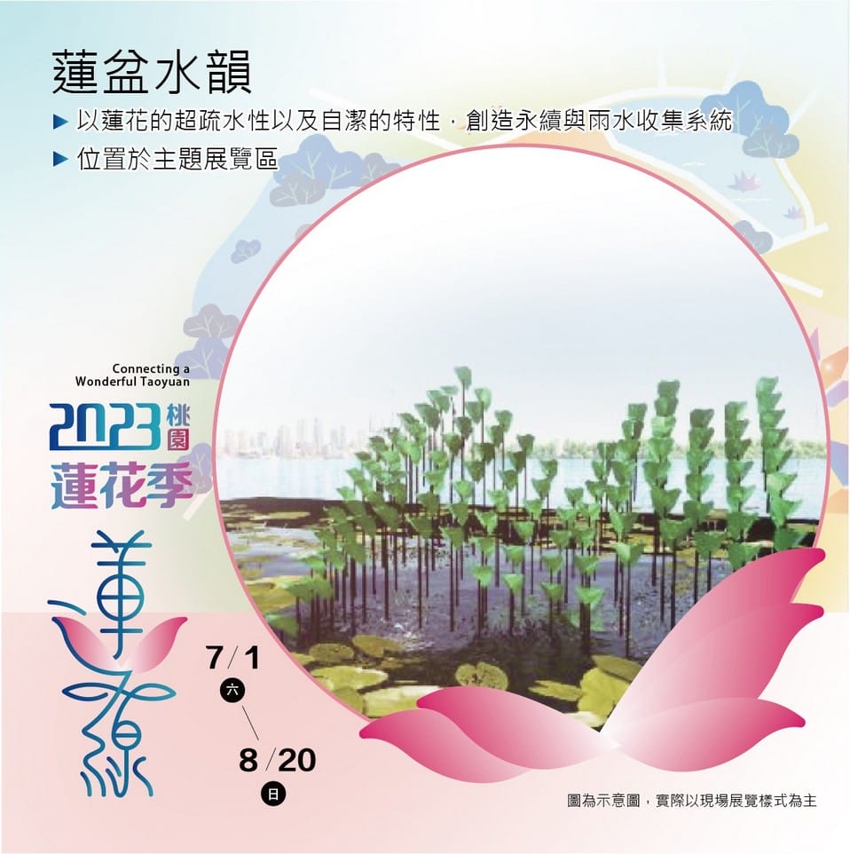 觀音桃園蓮花季2023（主題活動/交通接駁車/蓮荷園乘坐大王蓮/向陽農場賞向日葵）