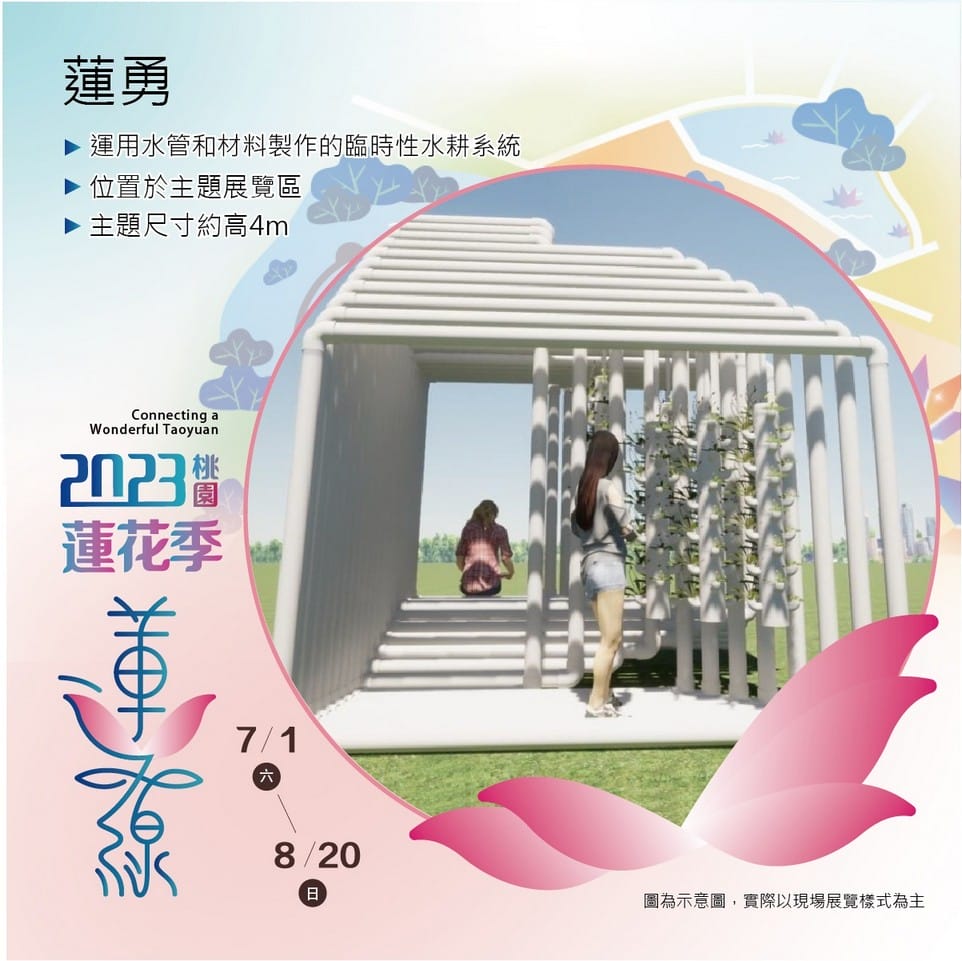 觀音桃園蓮花季2023（主題活動/交通接駁車/蓮荷園乘坐大王蓮/向陽農場賞向日葵）