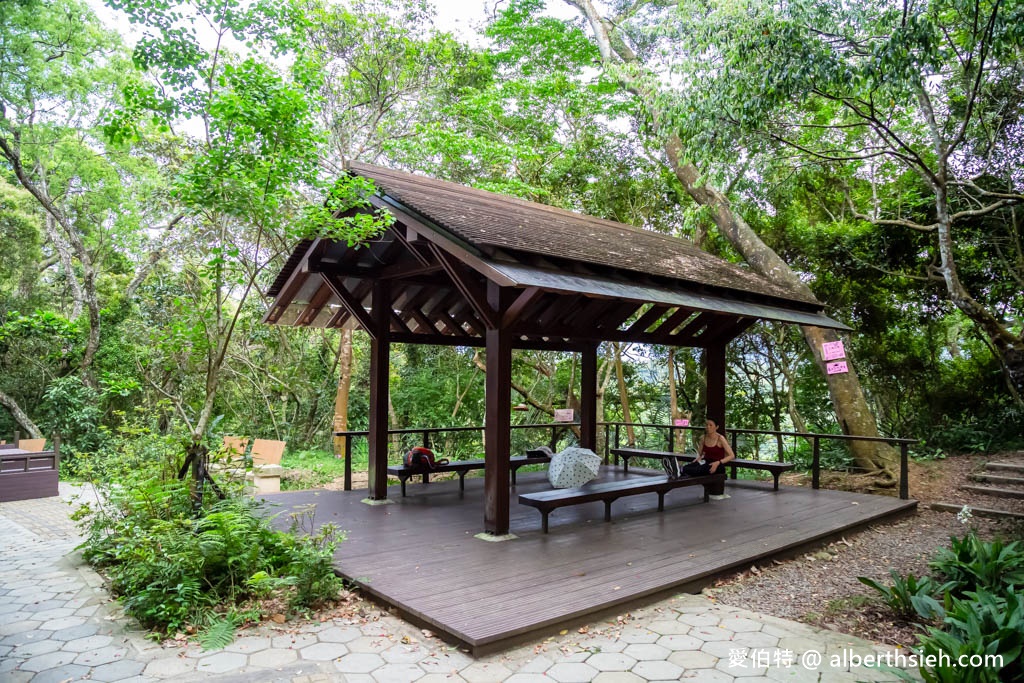 大溪百吉林蔭步道．桃園親子推薦景點（綠蔭環繞平緩好走的健行步道，入口交通？走多久？） @愛伯特