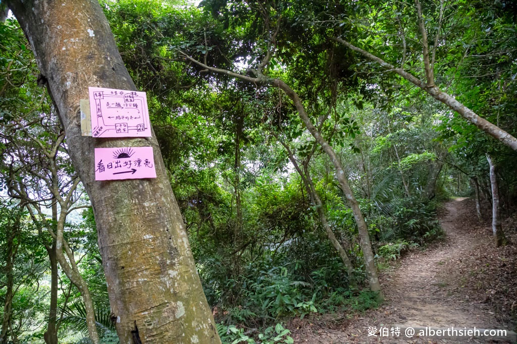 大溪百吉林蔭步道．桃園親子推薦景點（綠蔭環繞平緩好走的健行步道，入口交通？走多久？） @愛伯特