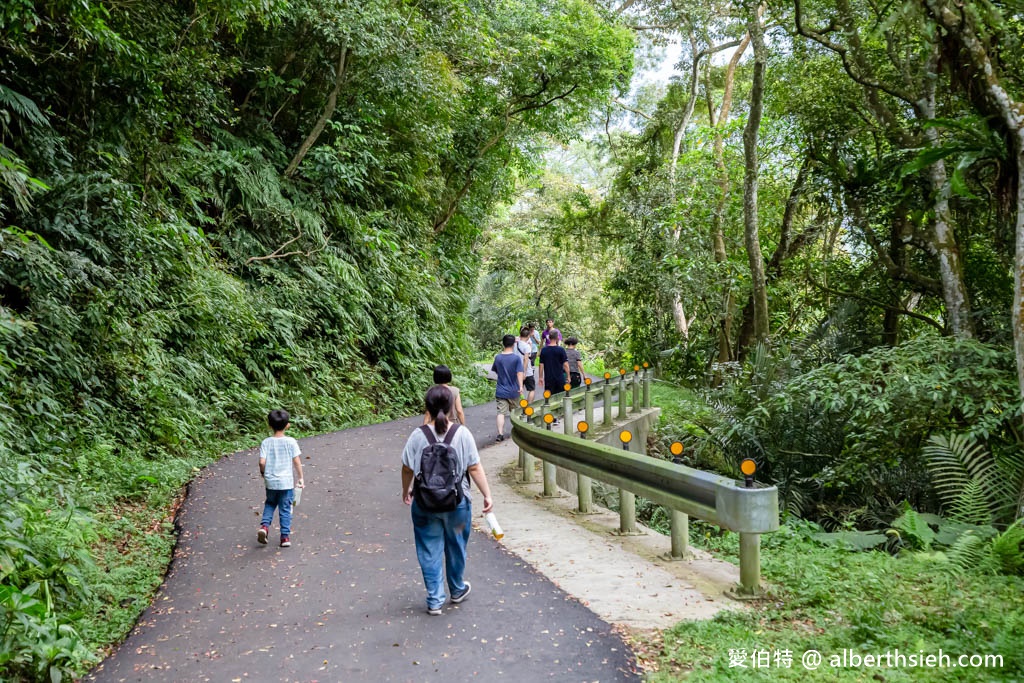 大溪百吉林蔭步道．桃園親子推薦景點（綠蔭環繞平緩好走的健行步道，入口交通？走多久？） @愛伯特