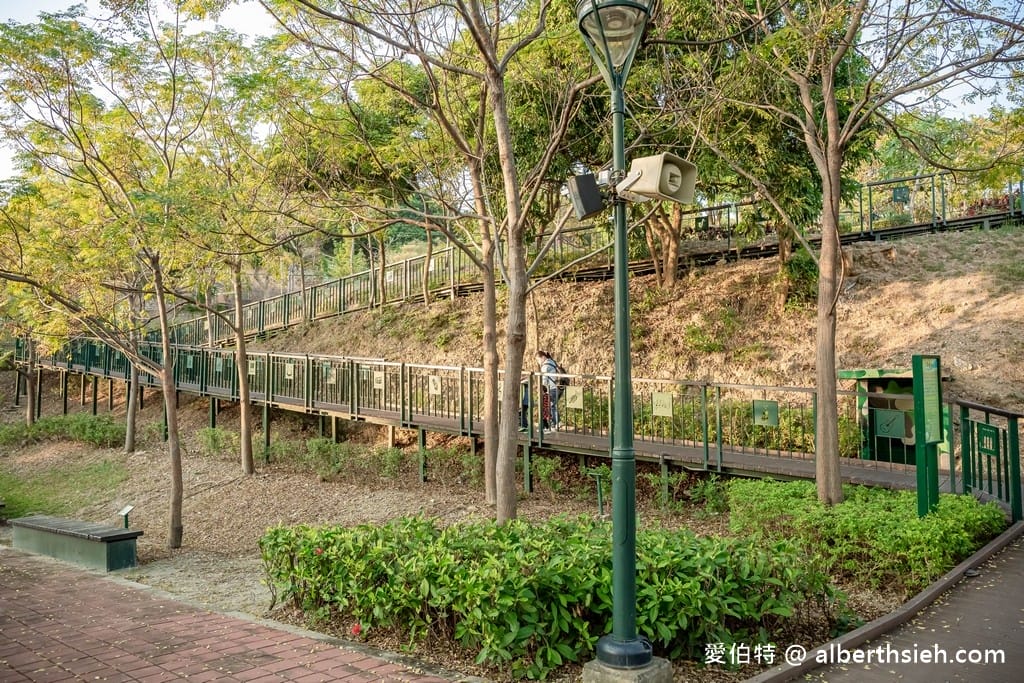 高雄景點．崗山之眼（登高40公尺天空步道上帝視角俯瞰週邊群山美景，入園門票費用/接駁車資訊）