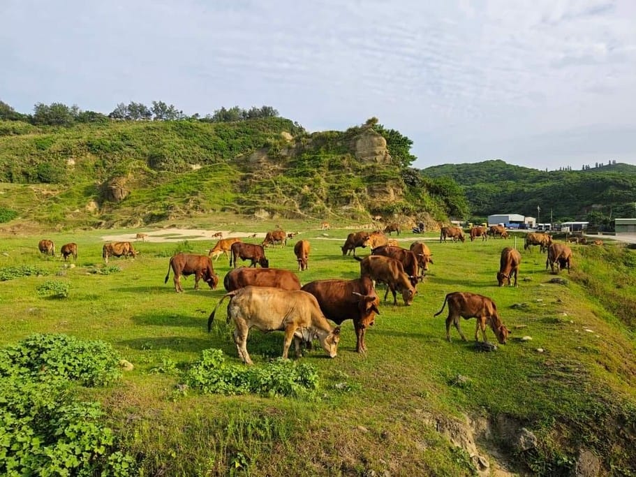林口大峽谷/水牛坑．新北林口景點（美麗錯誤形成的台版美國大峽谷）