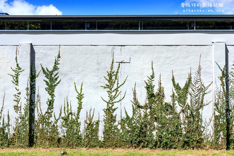 大溪老茶廠．桃園觀光工廠（茶香瀰漫，融合台日英風格的綠建築，文青必訪景點）