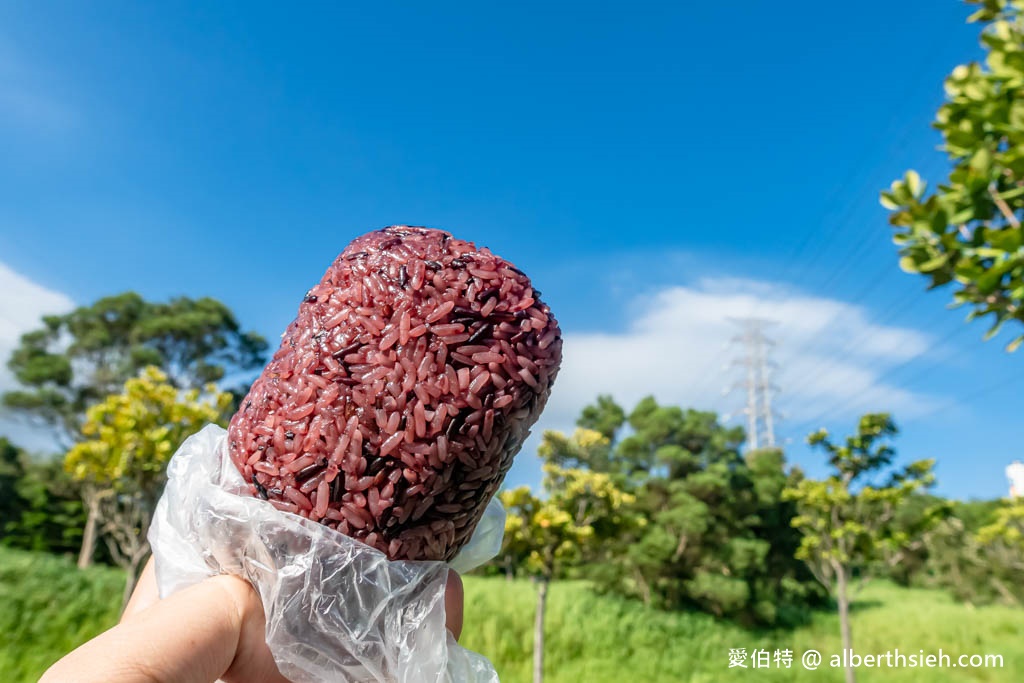 桃園早餐推薦｜南門市場必吃排隊美食：南門飯糰，菜單油條酥脆 @愛伯特