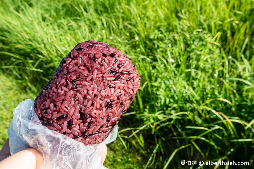 桃園早餐推薦｜南門市場必吃排隊美食：南門飯糰，菜單油條酥脆 @愛伯特