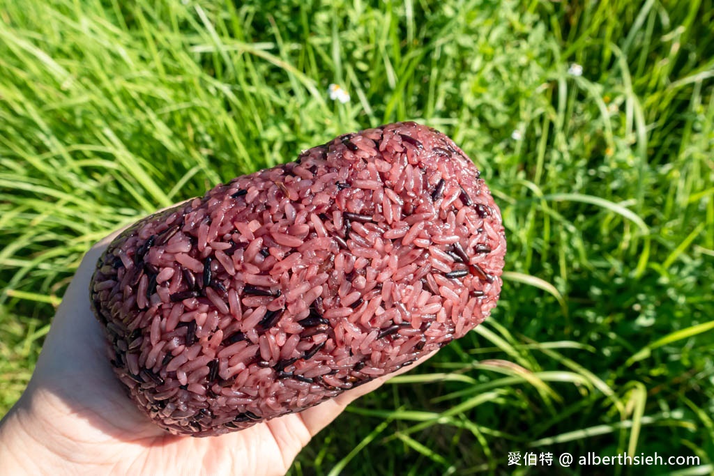 桃園早餐推薦｜南門市場必吃排隊美食：南門飯糰，菜單油條酥脆 @愛伯特