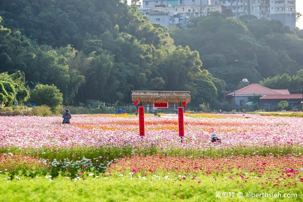 2023桃園花彩節大溪花彩節（時間/交通接駁停車/主題活動，順遊中庄吊橋更好玩）