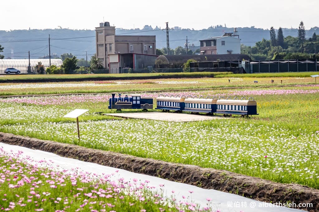 2023桃園花彩節大溪花彩節（時間/交通接駁停車/主題活動，順遊中庄吊橋更好玩）