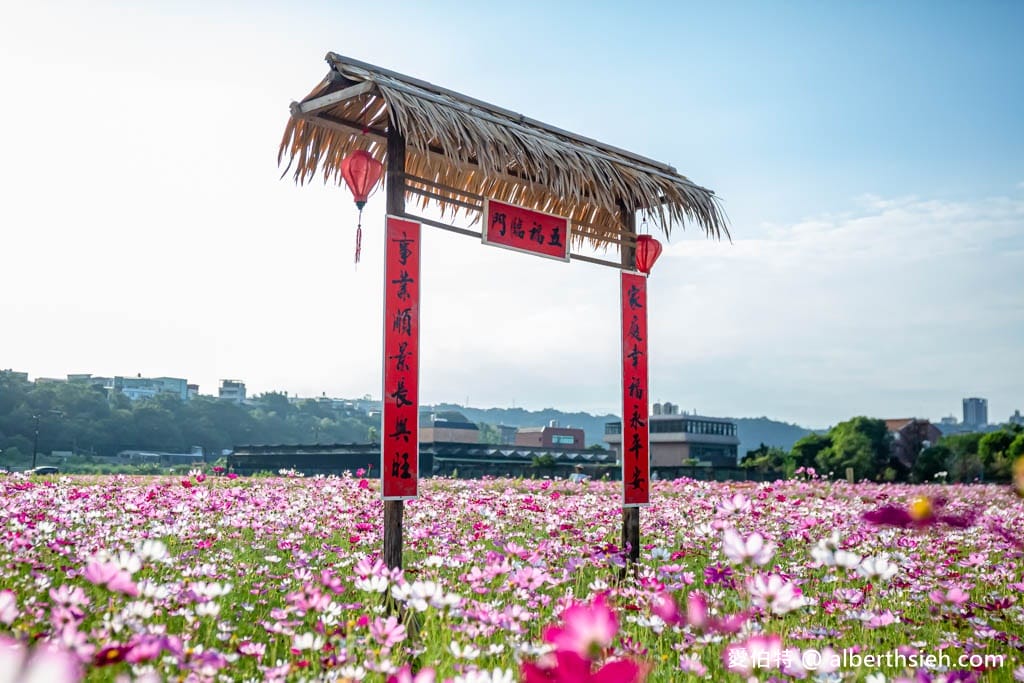 2023桃園花彩節大溪花彩節（時間/交通接駁停車/主題活動，順遊中庄吊橋更好玩）
