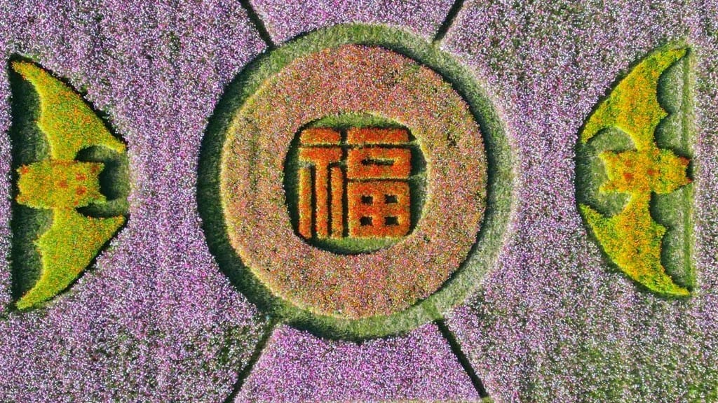 2023桃園花彩節大溪花彩節（時間/交通接駁停車/主題活動，順遊中庄吊橋更好玩）