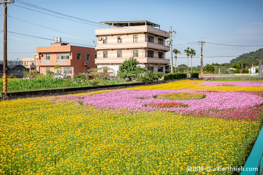 2023桃園花彩節大溪花彩節（時間/交通接駁停車/主題活動，順遊中庄吊橋更好玩） @愛伯特